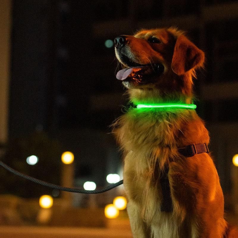 Optical Fiber LED Luminous Collar Multi-Color USB Charging Collar Can Shorten The Pet Collar