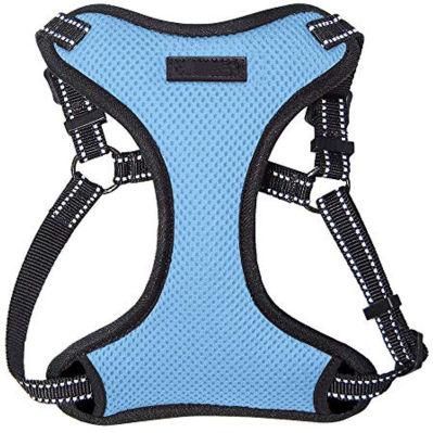 All Weather Mesh, Step in Adjustable Harness