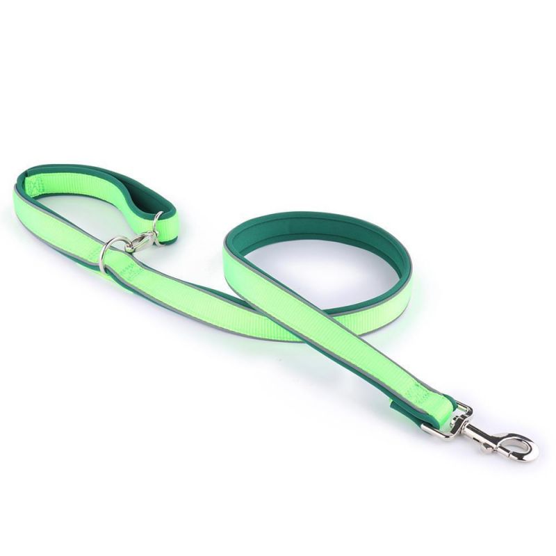 Reflective Nylon Dog Leash Comfortable Padded Handle for Walk