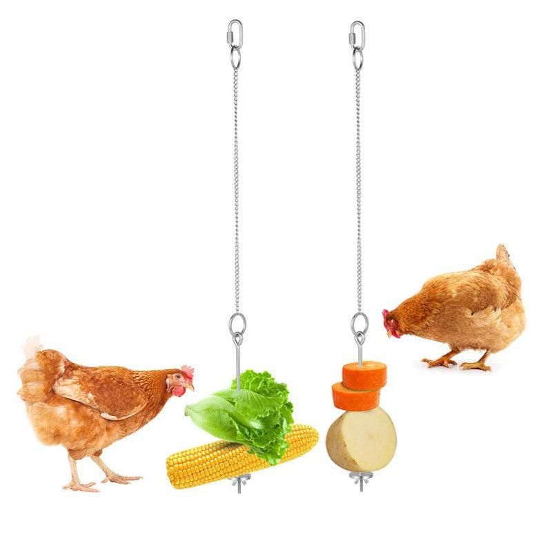 Chicken Fruit Vegetable Feeder Hanging Bird Food Feeder Toy Chicken Veggies Skewer Fruit Holder