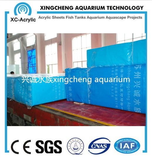 Customized Thick Transparent Acrylic Panel Aquarium Project