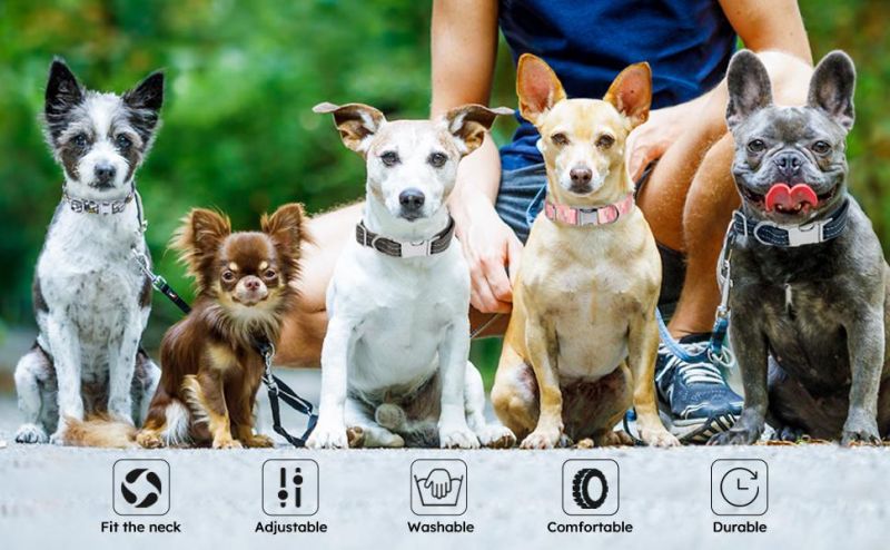 Durable Metal Buckle Adjustable Nylon Dog Collar for Small Dogs