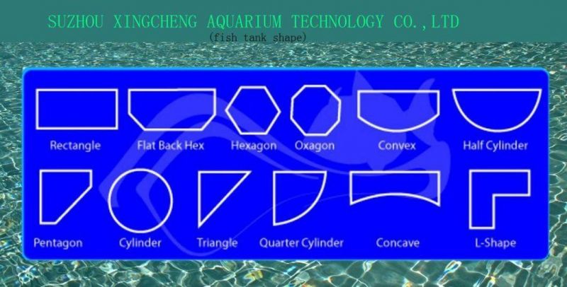 Acrylic Plastic Aquariums /Acrylic Glass Fish Tanks