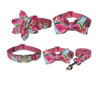 Summer Style Watermellon Dog Collar with Floral