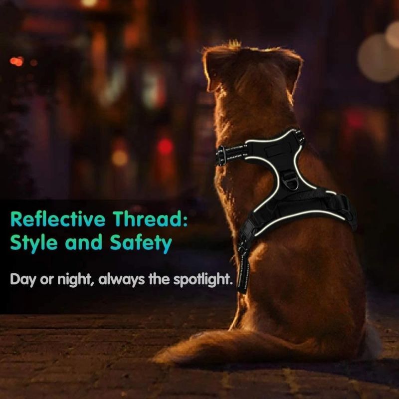Walking Pet Harness with 2 Metal Rings and Handle