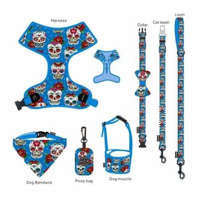 Supplies Custom Personalized Ins Hot Sale Printed Pet Dog Collar Leash Set
