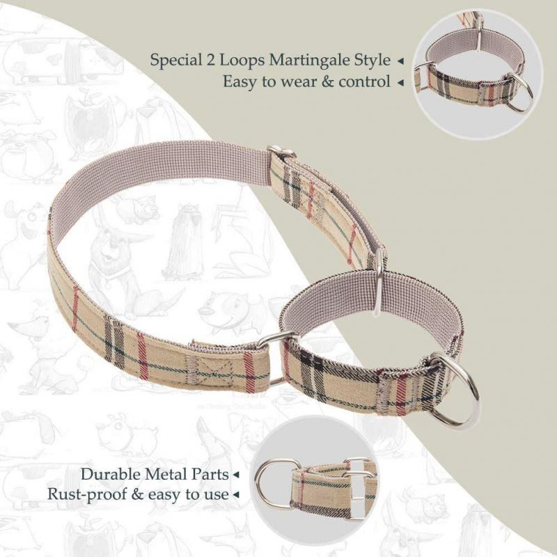 Heavy Duty Adjustable Training Nylon Collar Leash Set