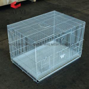 Popular Sale Large Metal Bird Aviary in UK for Sale