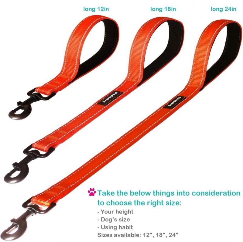 Great Control Highly Reflective Short Dog Lead