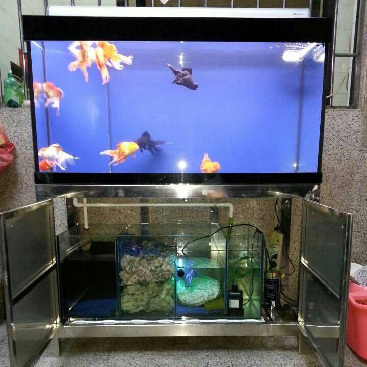 Custom High Quality Curve Ultra Clear Glass Aquarium