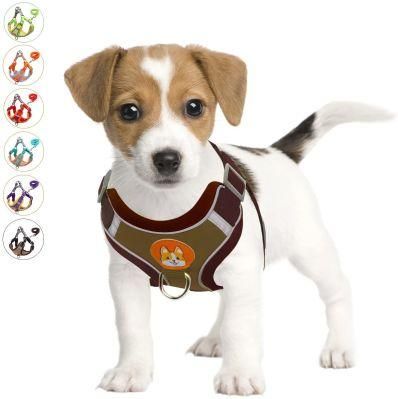 Popular Cute Pet Harness with Cartoon Design Dog Harness and Leash Set
