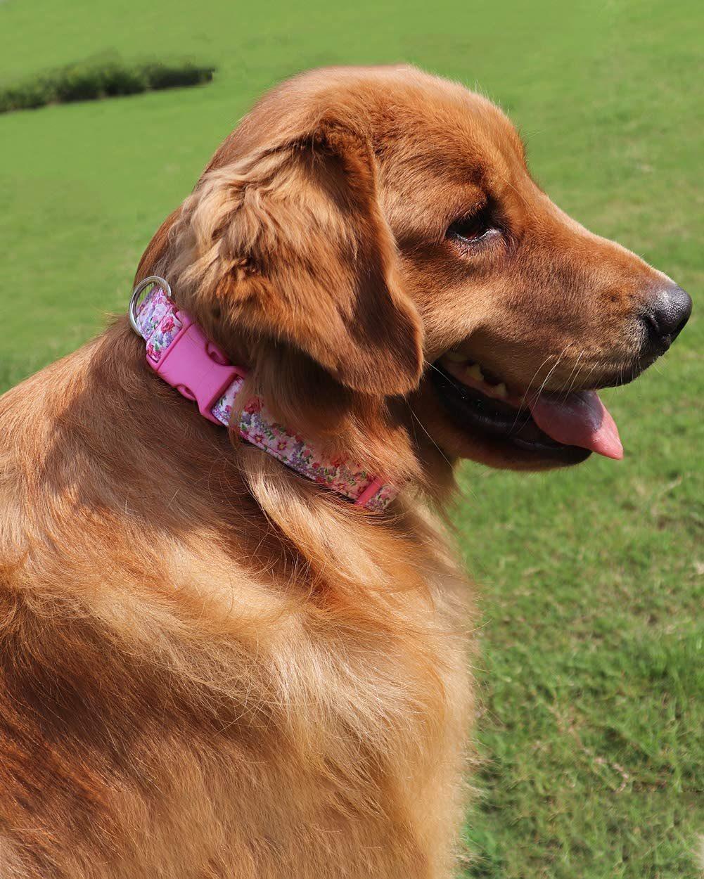 Flower Pattern Pink Dog Collars for Girl Dogs
