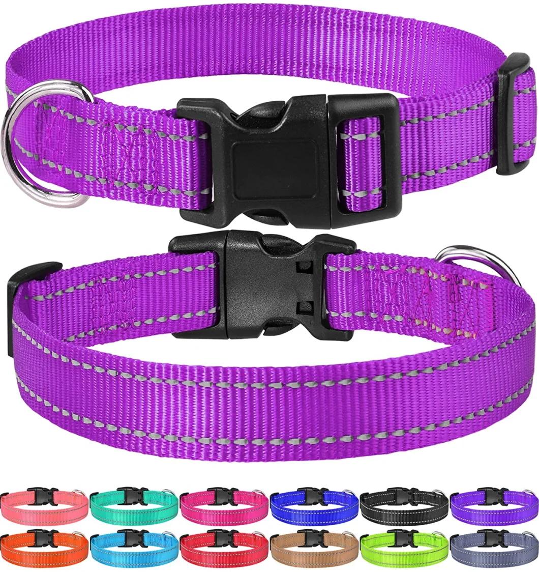 Reflective Nylon Dog Collar with Matching Leash