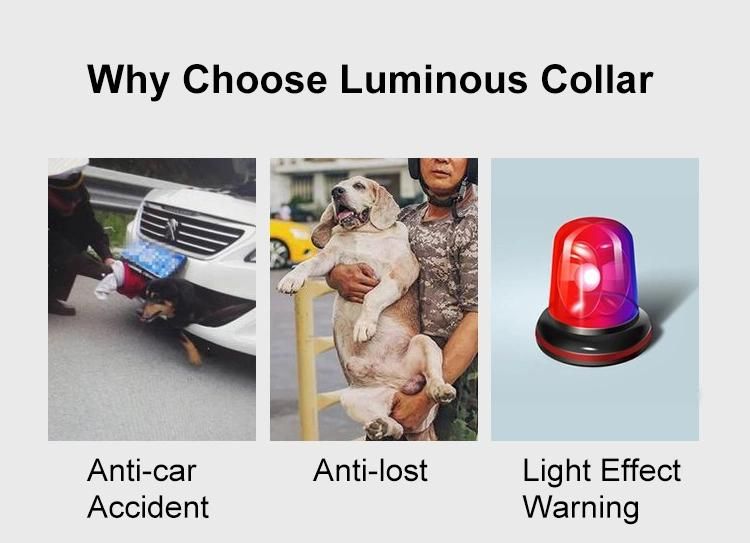 Glowing Multicolor Waterproof Light Pet Cat Perro USB Rechargeable LED Dog Collar for Night Safety
