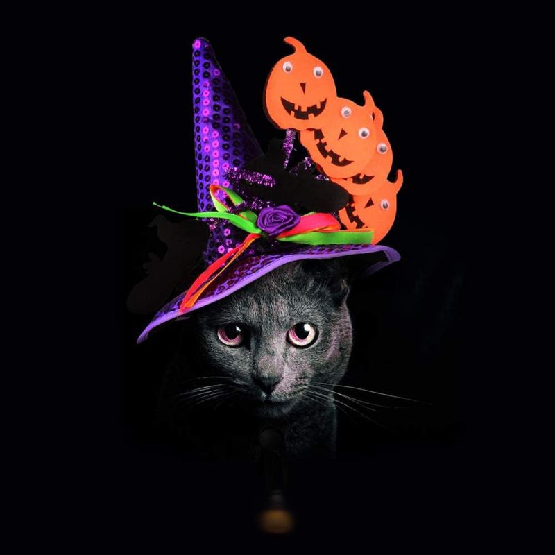 Pet Cat Halloween Hat Spider Web Pattern Cat Hat Decoration