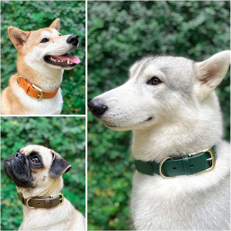 Convenient Sizes for Every Breed Waterproof Dog Collar