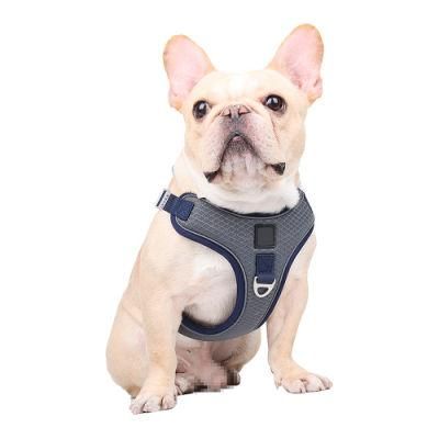 Leash and Harness for Small Dogs