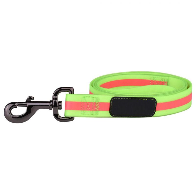 Customizable Easy Release Dog Collars Buckle and Leash Set