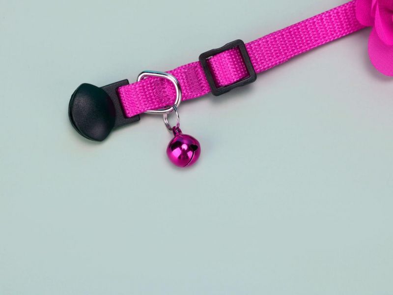 Leather Print Pattern Dog Collar Leash Set