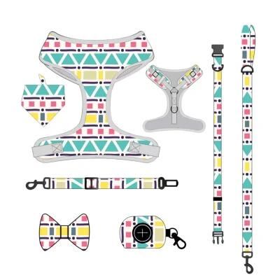 Custom Pattern Luxury Printed Mesh Reversible Collar Leash Bandana Dog Harness Se
