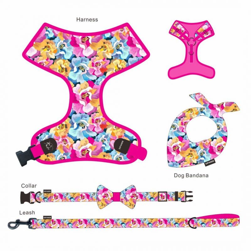 Luxury Pet Accessories 7 in 1 OEM&ODM Soft Padded Polyester Personalize Dog Leash Set