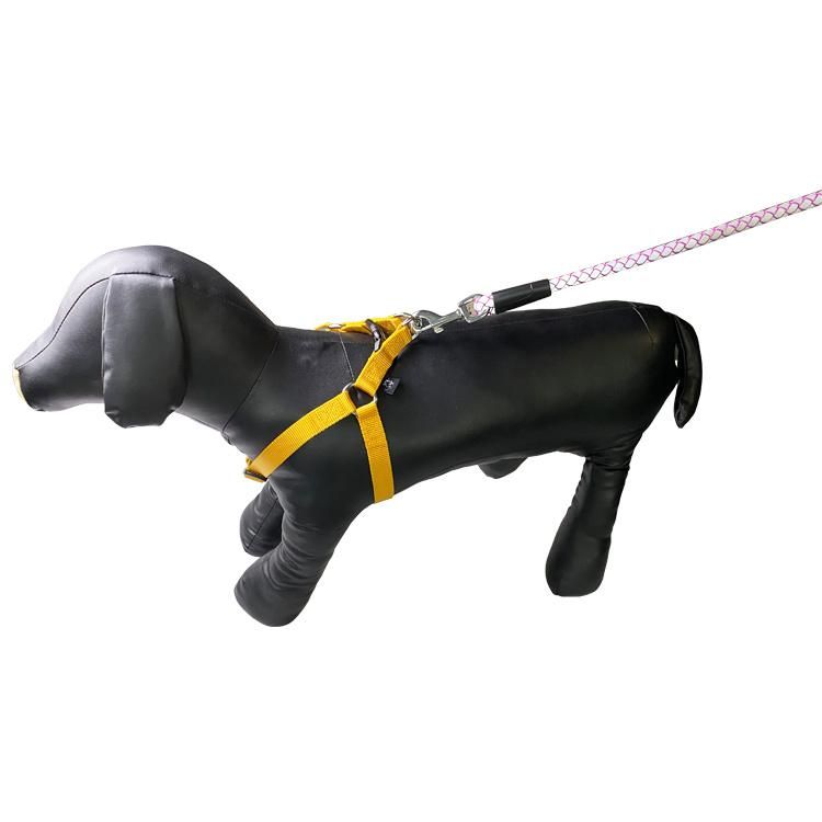 Durable Dog Leash for Little Medium Large Dog