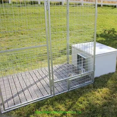 Hot Sale Large Outside Beige Kennel Barn Covered Dog Kennel