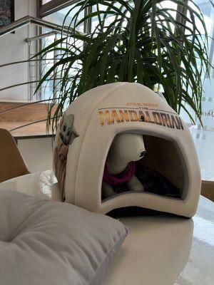 Comfortable Dog Bed Pet Bed Pet Accessories Designer Pet Bed