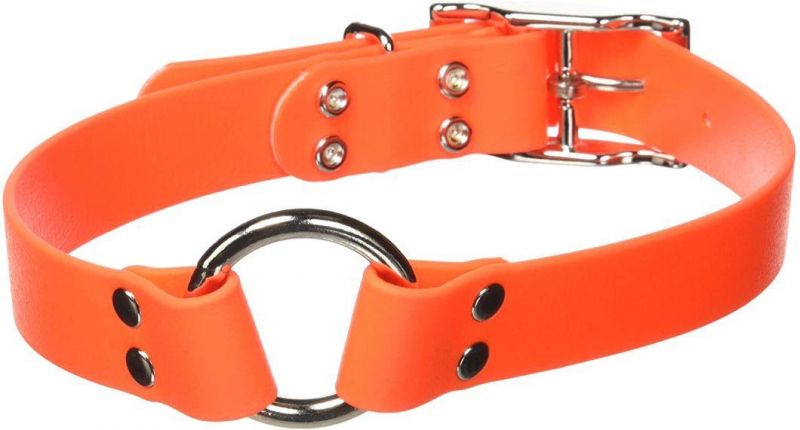Orange 1-Inch by 22-Inch Waterproof Dog Collar