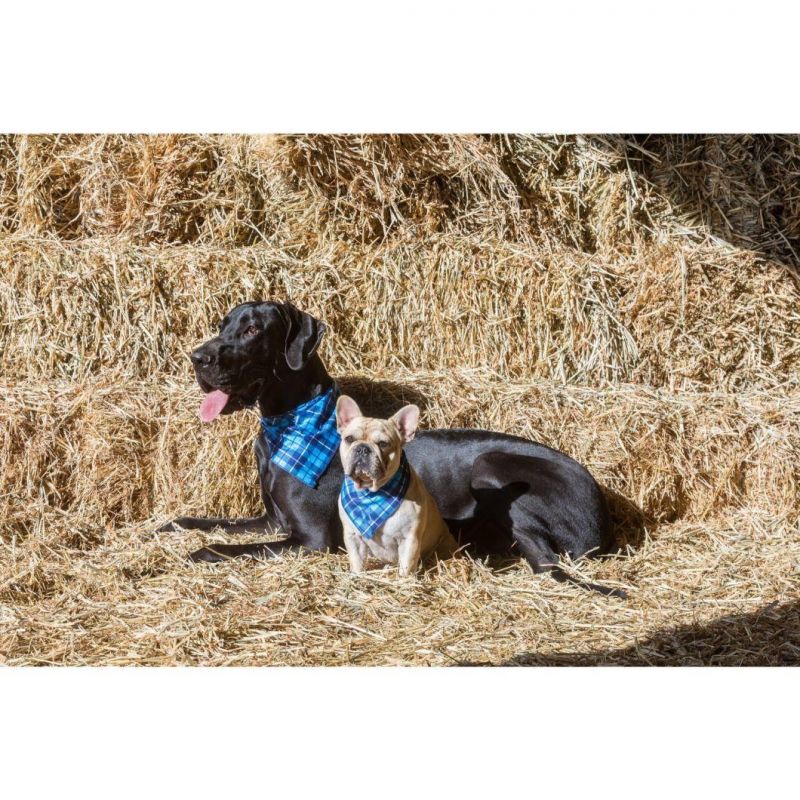 Wholesale Dog Accessories Bandana Polyester Cooling Printed Dog Bandana