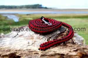 Bingo Hand Made Paracord Dog Leash