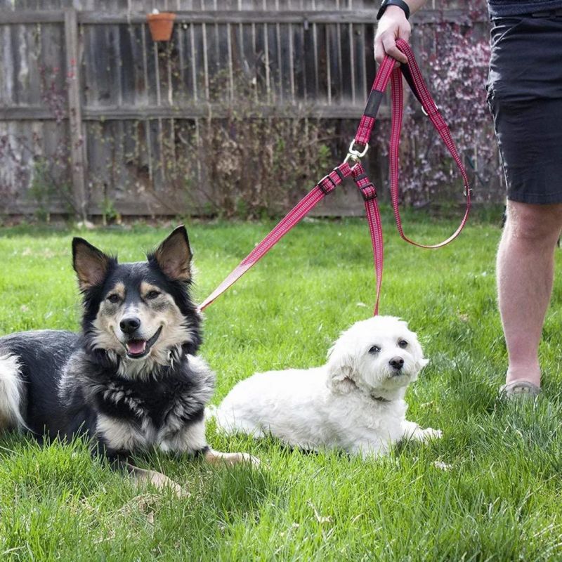 Great for Walking 2 Dogs Dual Handle Dog Leash