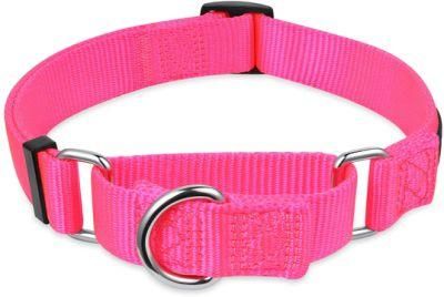 Heavy Duty Nylon Anti-Escape Martingale Collar for Boy and Girl Dogs Comfy and Safe - Professional Training, Daily Use