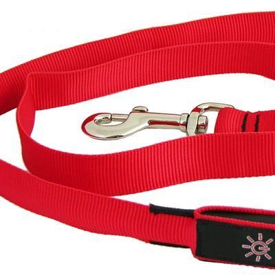 LED Pet Leash Light up Dog Leash Can Customize Length Logo