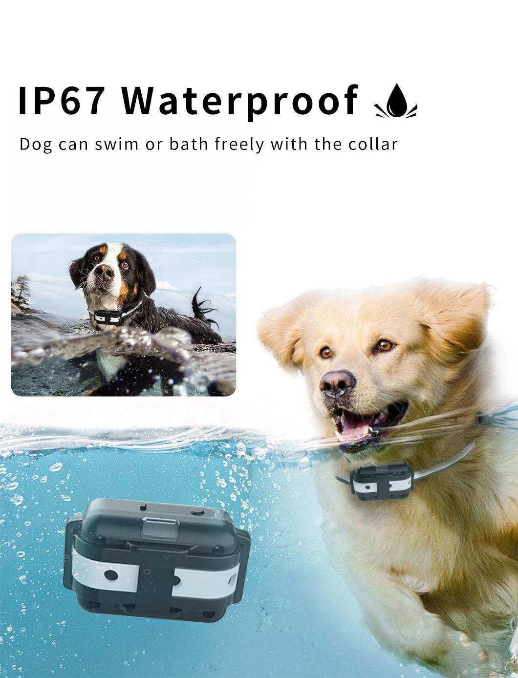 2022 Cssiwe Newest Waterproof Remote Dog Pet Training Collar