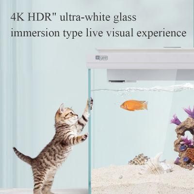 Yee Brand Mini Small Golden Fish Glass Tank with Aquarium Accessories Pump for Home Decoration
