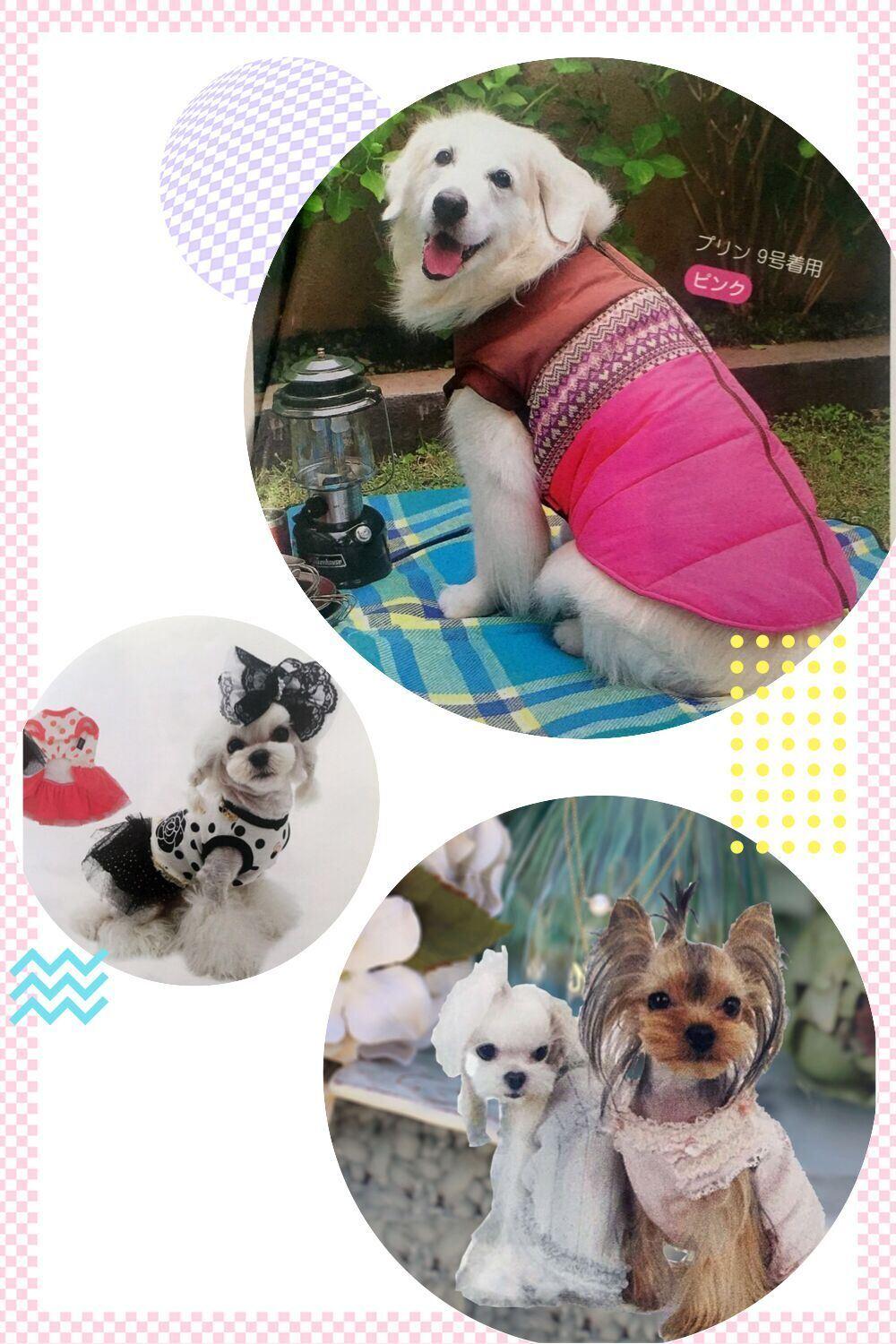Pet Products Clothes Dog Coat Dog Clothes Sweater for Dog