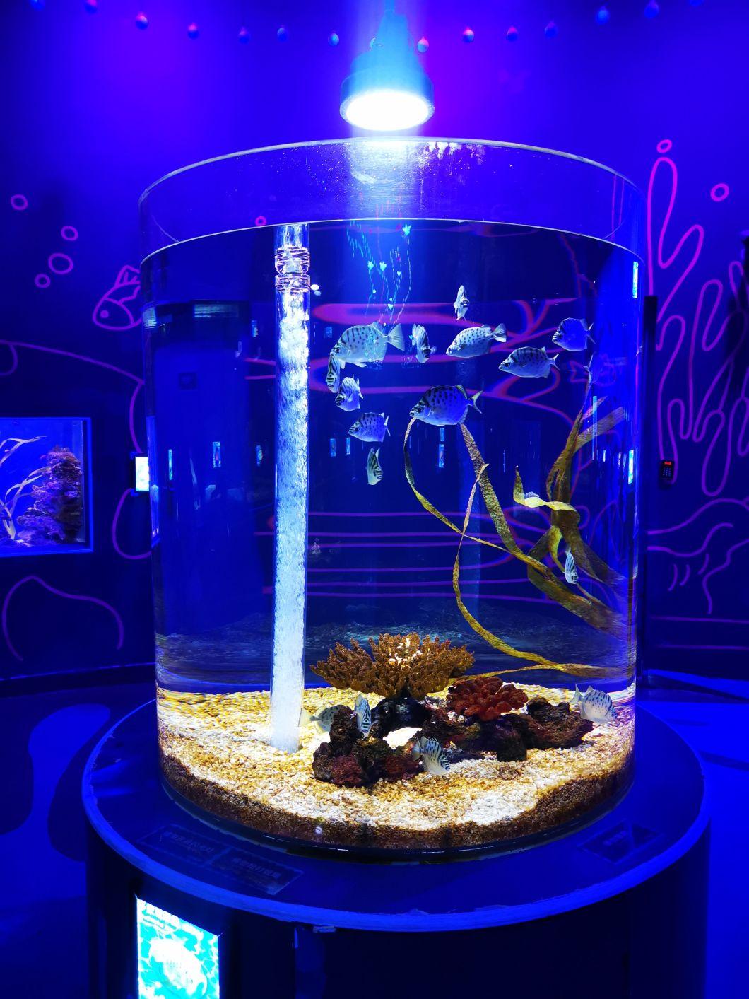 Acrylic Fish Tank Aquarium Project