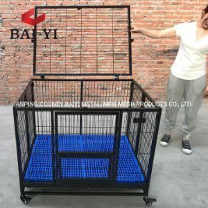 Folding Cheap Dog Cage From Direct Factory