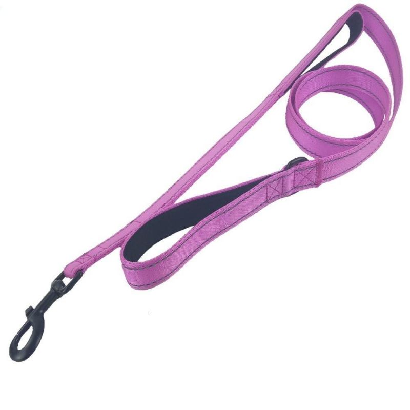 Nylon Reflective Thread Dog Leash with 2 Padded Handles with Multiple Color Option