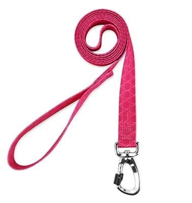 OEM Manufacturer Wholesale Polyester Webbing Padded Handle Pet Accessories Pet Dog Leash