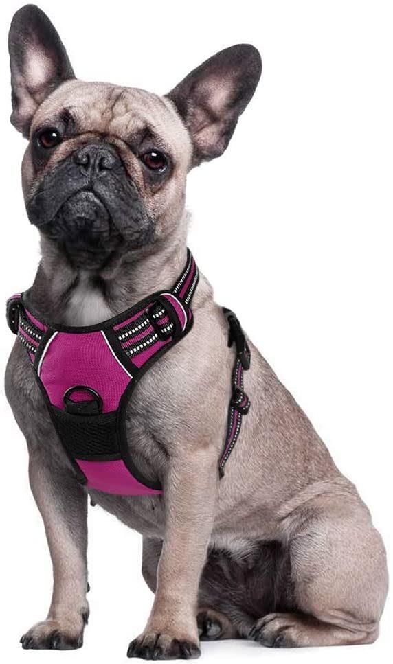 Custom Reflective & Breathable Sturdy Dog Harness