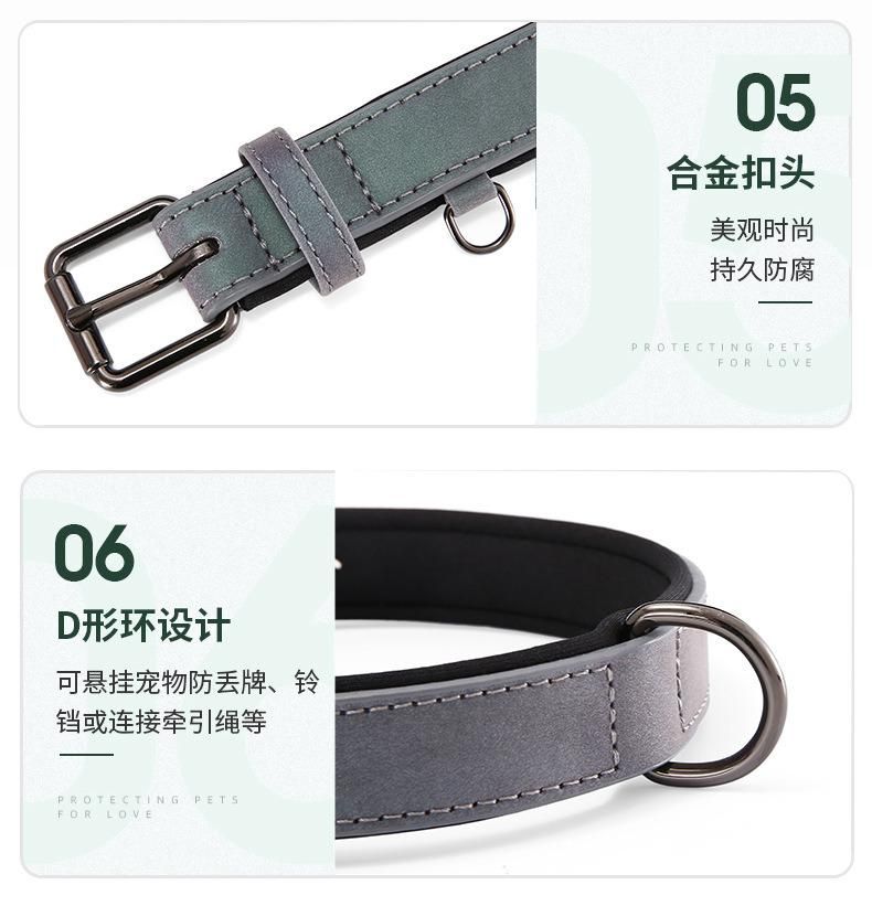 Light Reflective Fashion Collar and Leash for Pet Dog