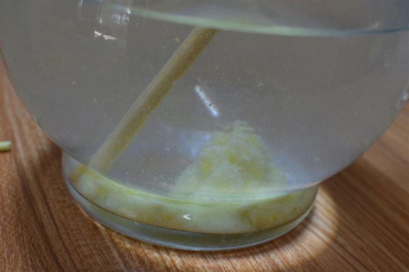 Pet Supply: Corn Cat Litter