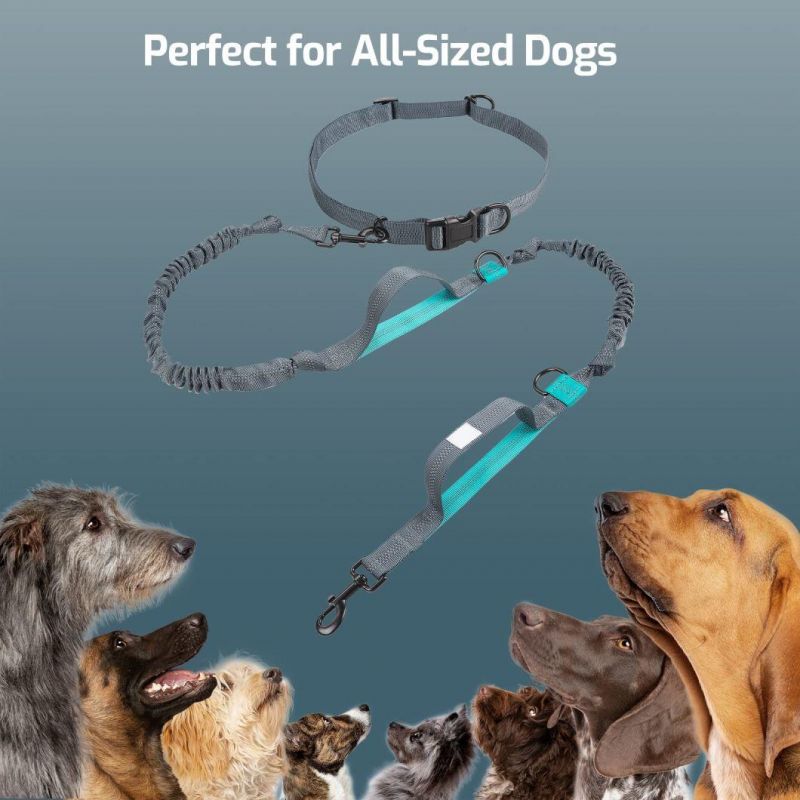 New Reflective Leash Traction Rope Pet Dog Running Belt Elastic Hands Freely