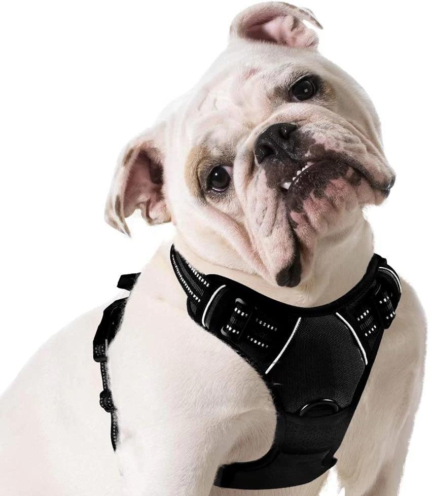 Walking Pet Harness with 2 Metal Rings and Handle