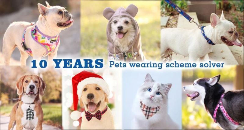 OEM Factory Pet Supplier Luxury Reversible Neoprene Adjustable Pet Harness, Collar, Leash Set