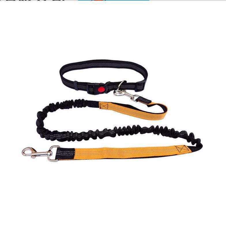 Hands Free Dog Leash for Running, Walking, Hiking, Durable Dual-Handle Bungee Leash, Reflective Stitching