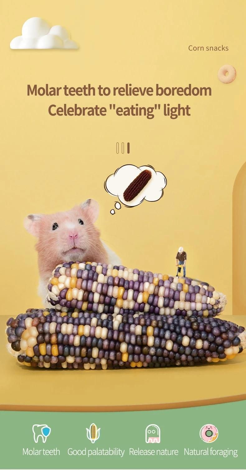 Yee Nature Corn Snacks for Small Pet Hamster Molar Snacks Pet Healthy Food