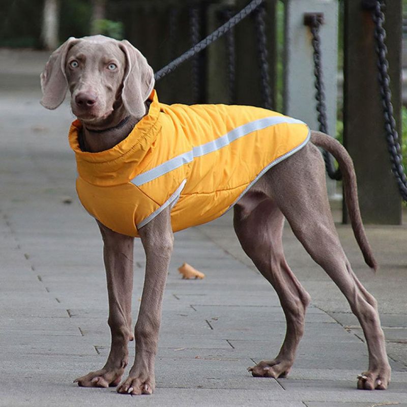 High Collar Dog Coat Waterproof Pet Jacket